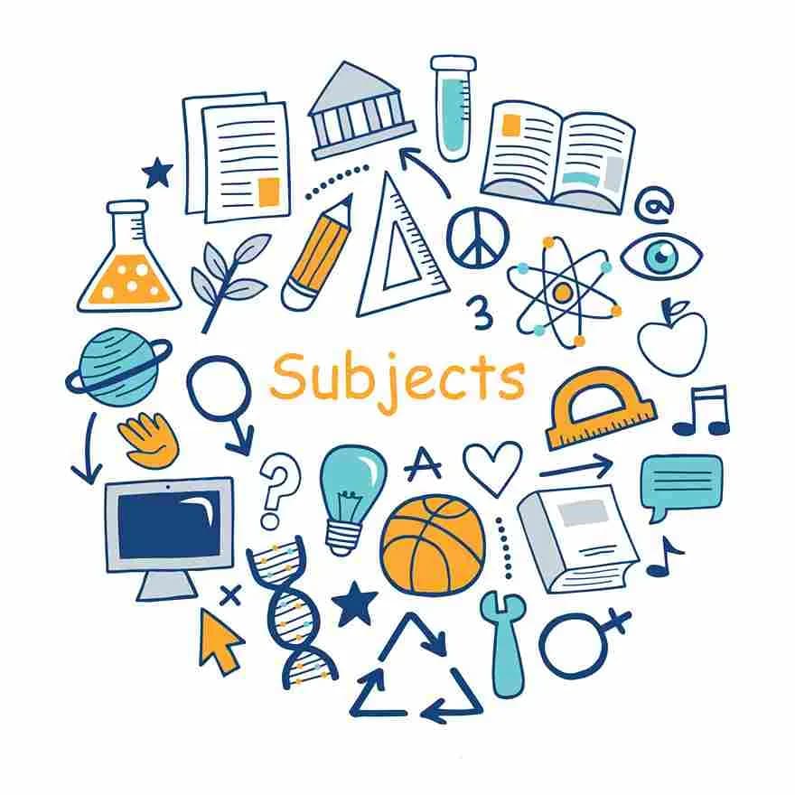 Hero section illustration